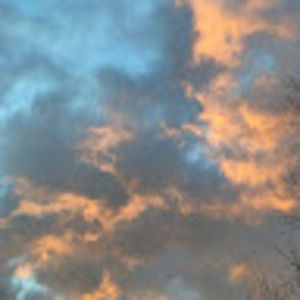 Meet your Posher, Annalisa